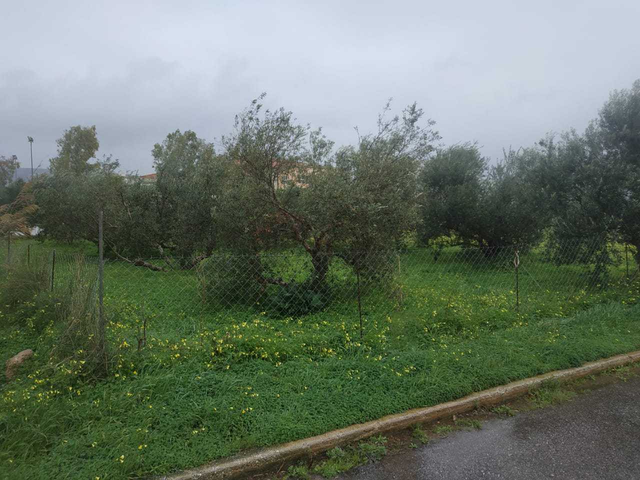 750 m² Land for Sale in Souda, Chania