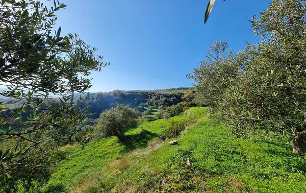 Sea-View 4,800 m² Plot for Sale in Polemarchi, Platanias — photo 5