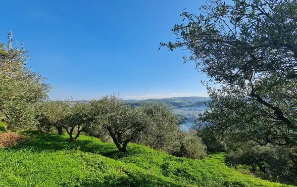 Sea-View 4,800 m² Plot for Sale in Polemarchi, Platanias — photo 2