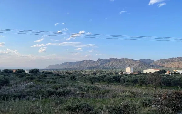 21,752 m² Plot of Land for Sale in Chordaki, Akrotiri — photo 2