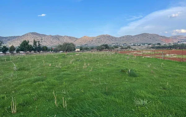 21,752 m² Plot of Land for Sale in Chordaki, Akrotiri