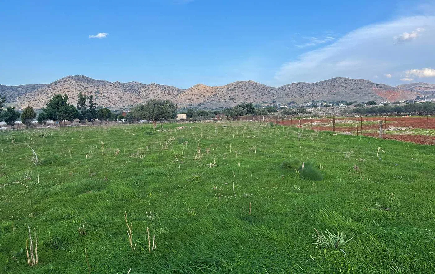 21,752 m² Plot of Land for Sale in Chordaki, Akrotiri