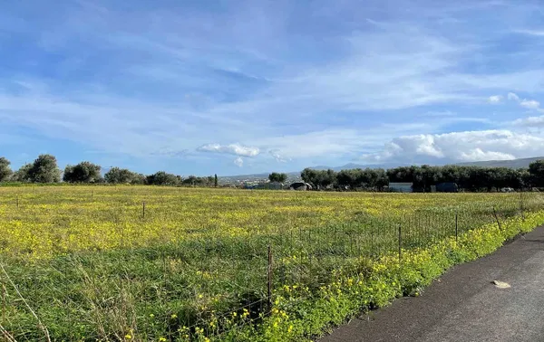 7,200 m² Plot of Land for Sale in Adelianos Kampos, Rethymnon