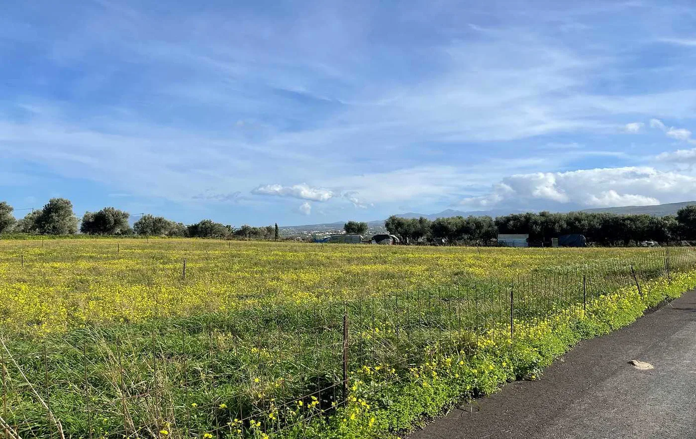 7,200 m² Plot of Land for Sale in Adelianos Kampos, Rethymnon