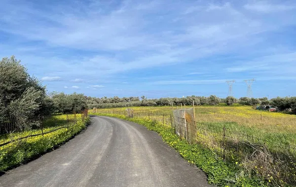 7,200 m² Plot of Land for Sale in Adelianos Kampos, Rethymnon — photo 2