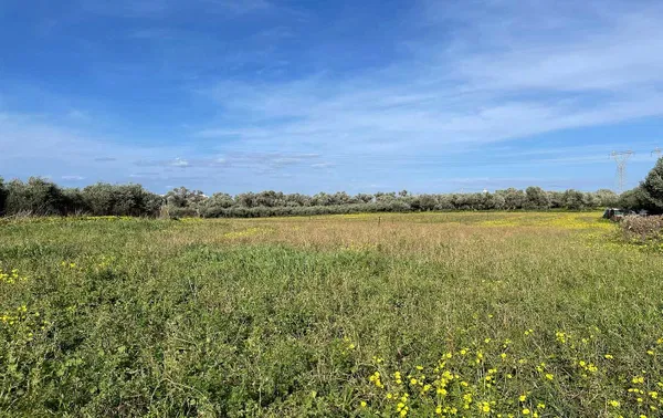 7,200 m² Plot of Land for Sale in Adelianos Kampos, Rethymnon — photo 3