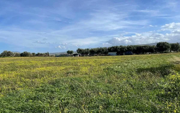 7,200 m² Plot of Land for Sale in Adelianos Kampos, Rethymnon — photo 4