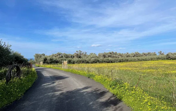 7,200 m² Plot of Land for Sale in Adelianos Kampos, Rethymnon — photo 5