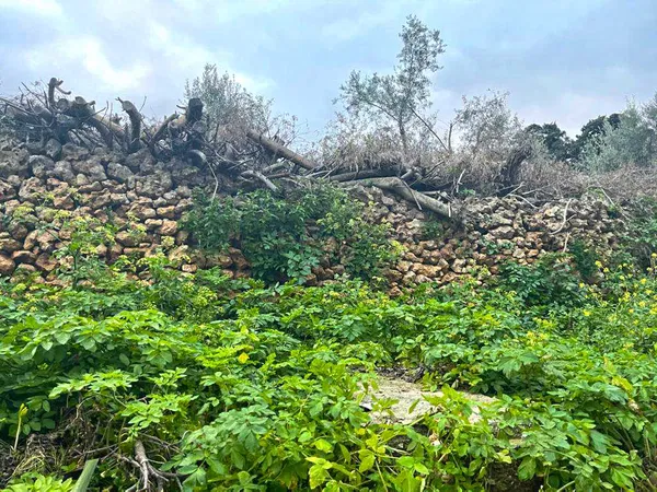 487 m² Plot for Sale in Lentariana, Chania — photo 4