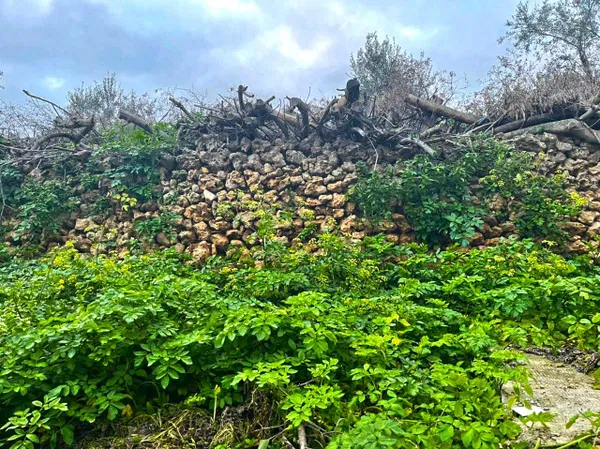 487 m² Plot for Sale in Lentariana, Chania — photo 3