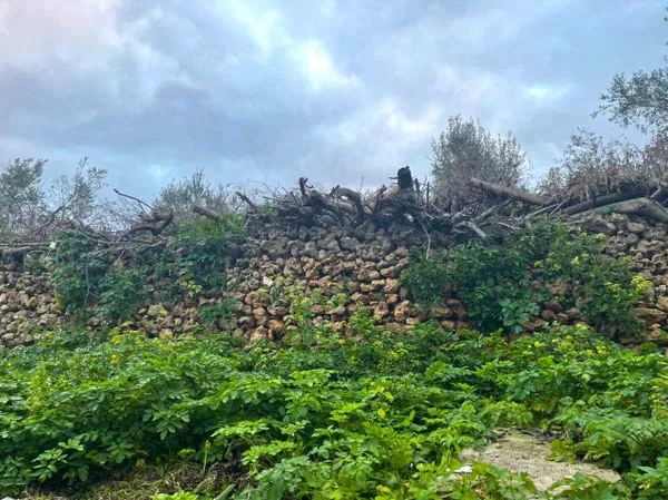 487 m² Plot for Sale in Lentariana, Chania — photo 2