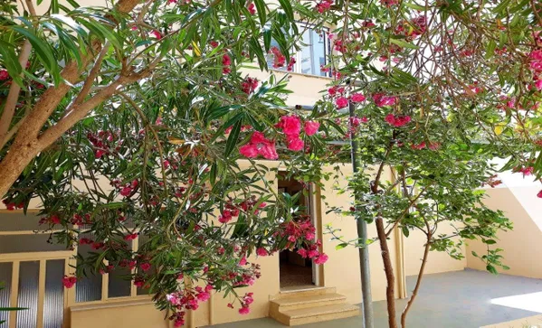 Renovated 200 m² Villa with Five Bedrooms for Sale in Psychiko - Filothei, Athens Northern suburbs — photo 2