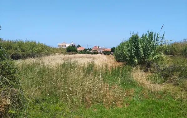 Seafront 1,860 m² Plot of Land for Sale in Maleme, Platanias — photo 5