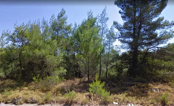 1,040 m² Plot of Land for Sale in Afidnes, Agia Triada Attica — photo 2