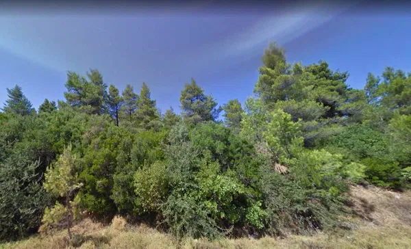 1,040 m² Plot of Land for Sale in Afidnes, Agia Triada Attica