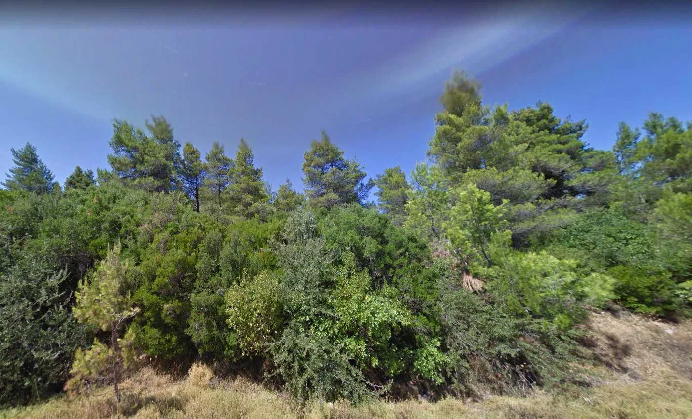 1,040 m² Plot of Land for Sale in Afidnes, Agia Triada Attica