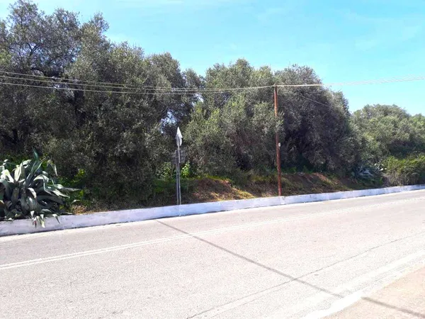 15,000 m² Plot for Sale in Perivolia, Chania
