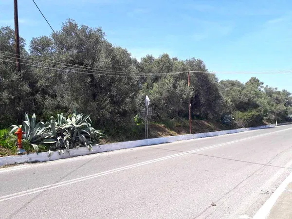 15,000 m² Plot for Sale in Perivolia, Chania — photo 4