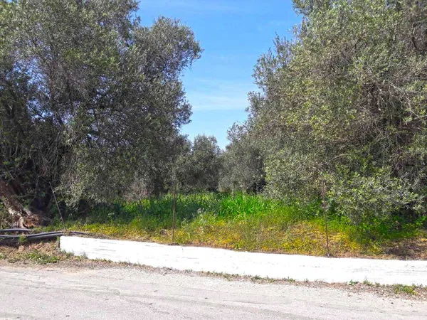 15,000 m² Plot for Sale in Perivolia, Chania — photo 3
