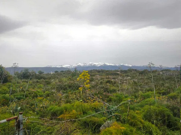 4,186 m² Land for Sale in Korakies, Akrotiri — photo 3