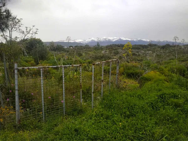 4,186 m² Land for Sale in Korakies, Akrotiri — photo 2