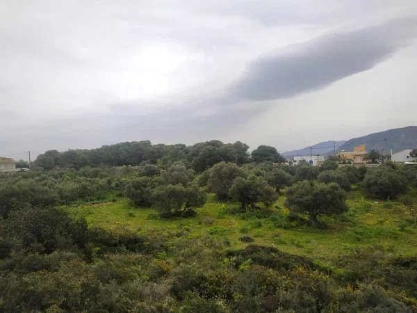 4,186 m² Land for Sale in Korakies, Akrotiri — photo 5