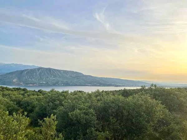 4,680 m² Plot of Land for Sale in Sternes, Akrotiri — photo 5