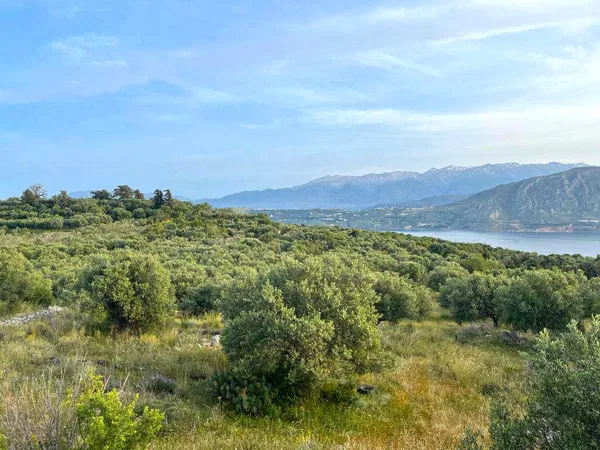 4,680 m² Plot of Land for Sale in Sternes, Akrotiri — photo 3