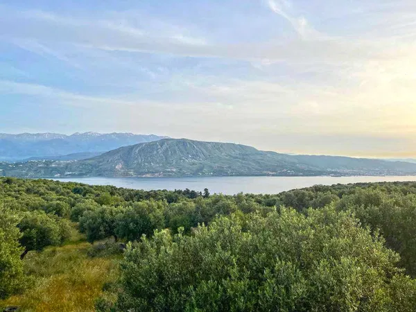 4,680 m² Plot of Land for Sale in Sternes, Akrotiri — photo 4