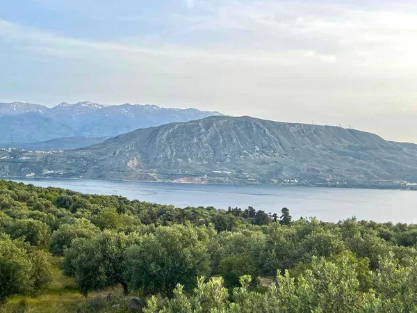 4,680 m² Plot of Land for Sale in Sternes, Akrotiri