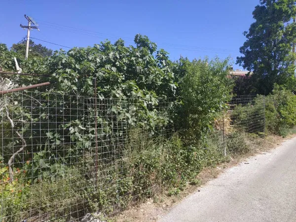 Sea-View 701 m² Plot of Land for Sale in Daratso, Chania — photo 3