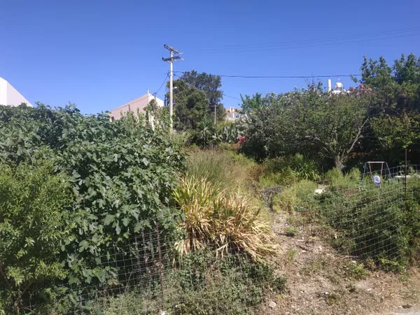 Sea-View 701 m² Plot of Land for Sale in Daratso, Chania — photo 4
