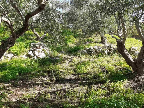 Sea-View 400 m² Land for Sale in Kalyves, Apokoronas — photo 5