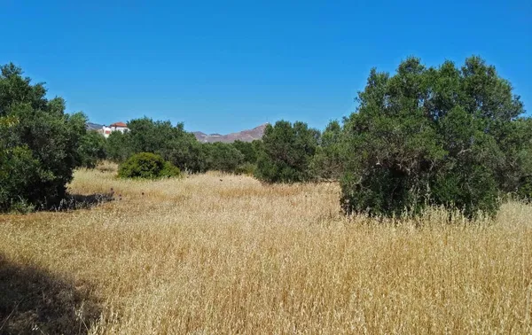 5,000 m² Plot of Land for Sale in Kathiana, Akrotiri — photo 4