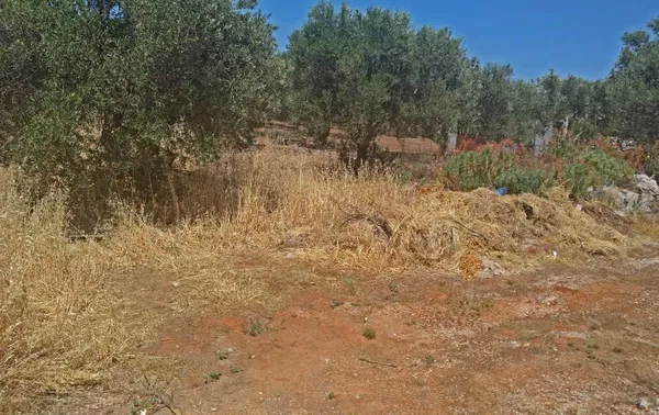Seafront 1,000 m² Plot for Sale in Kathiana, Akrotiri — photo 2