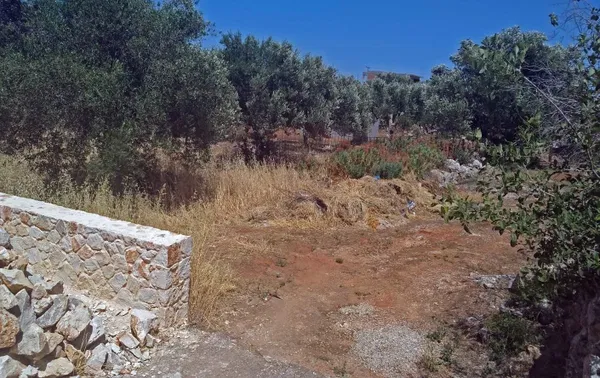 Seafront 1,000 m² Plot for Sale in Kathiana, Akrotiri — photo 3