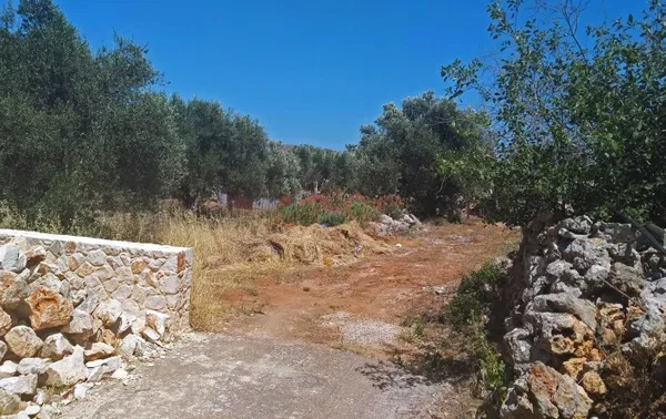 Seafront 1,000 m² Plot for Sale in Kathiana, Akrotiri