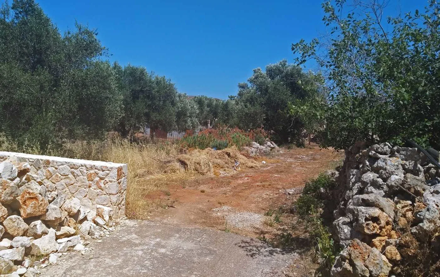 Seafront 1,000 m² Plot for Sale in Kathiana, Akrotiri