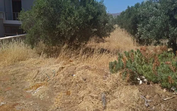 Seafront 1,000 m² Plot for Sale in Kathiana, Akrotiri — photo 4