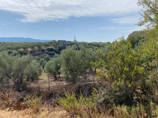 110,000 m² Plot for Sale in Platanias, Chania — photo 3