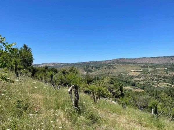 3,322 m² Plot of Land for Sale in Exopolis, Apokoronas — photo 2