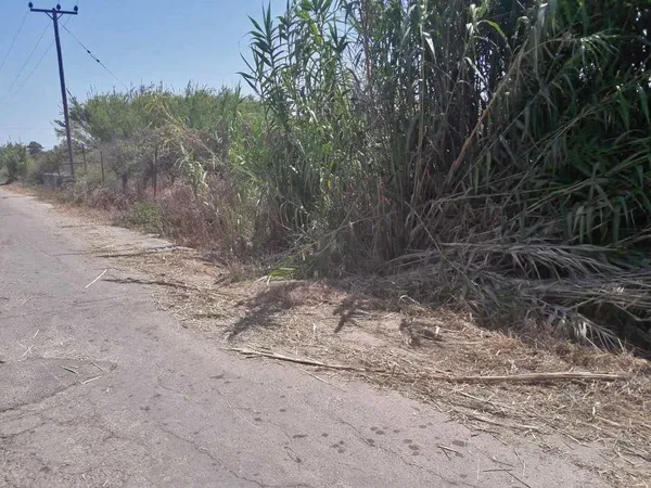 6,800 m² Land for Sale in Varipetro, Chania — photo 3