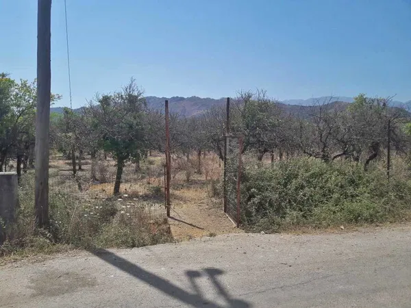 6,800 m² Land for Sale in Varipetro, Chania — photo 4