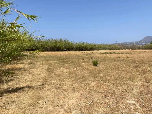 15,000 m² Land for Sale in Kalyves, Apokoronas — photo 4