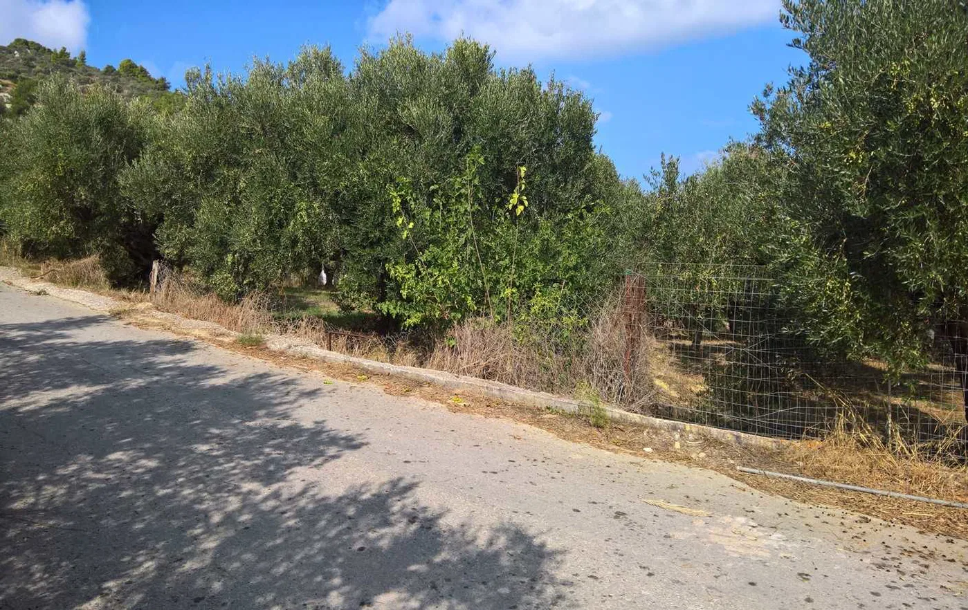 730 m² Land for Sale in Spilia, Platanias