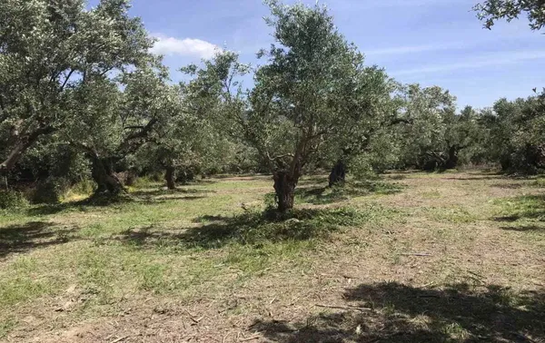 730 m² Land for Sale in Spilia, Platanias — photo 2