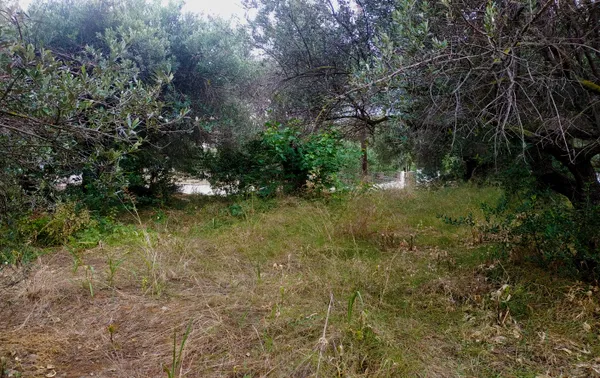 731 m² Plot of Land for Sale in Agia Marina, Chania — photo 5