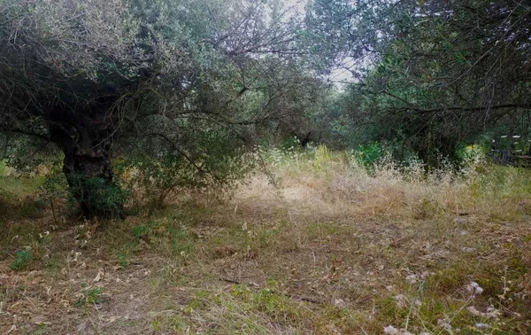 731 m² Plot of Land for Sale in Agia Marina, Chania — photo 4
