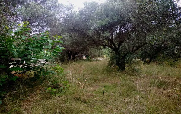 731 m² Plot of Land for Sale in Agia Marina, Chania — photo 3