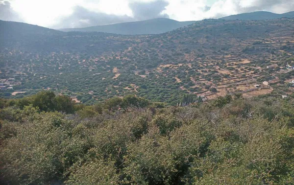 Sea-View 2,923 m² Plot of Land for Sale in Elounda, Agios Nikolaos — photo 2
